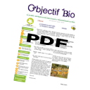 obj-bio-logo-pdf